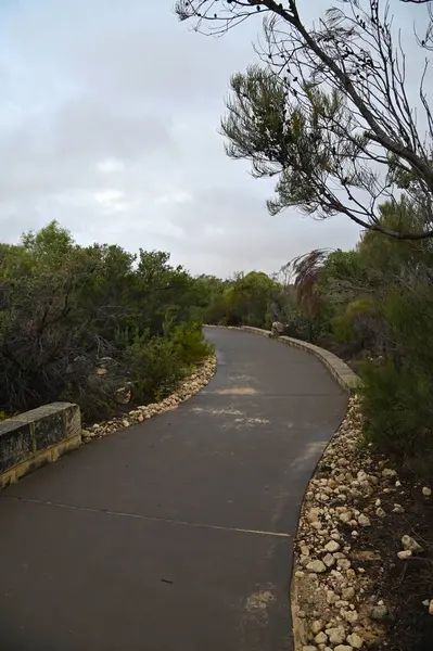 Nambung, Avustralya 2 Haziran 2025: Batı Avustralya 'nın Pinnacles Çölü
