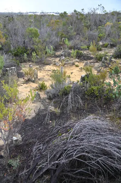 Nambung, Avustralya 2 Haziran 2025: Batı Avustralya 'nın Pinnacles Çölü
