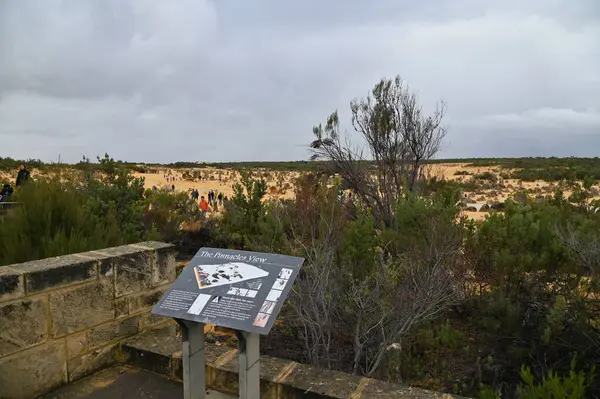 Nambung, Avustralya 2 Haziran 2025: Batı Avustralya 'nın Pinnacles Çölü