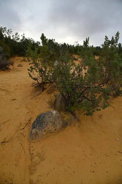 Nambung, Avustralya 2 Haziran 2025: Batı Avustralya 'nın Pinnacles Çölü