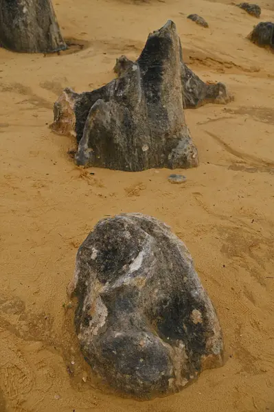 Nambung, Avustralya 2 Haziran 2025: Batı Avustralya 'nın Pinnacles Çölü