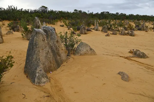 Nambung, Avustralya 2 Haziran 2025: Batı Avustralya 'nın Pinnacles Çölü