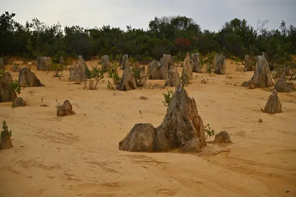 Nambung, Avustralya 2 Haziran 2025: Batı Avustralya 'nın Pinnacles Çölü