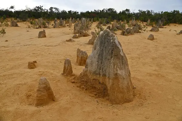 Nambung, Avustralya 2 Haziran 2025: Batı Avustralya 'nın Pinnacles Çölü