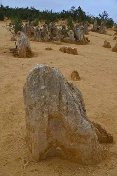 Nambung, Avustralya 2 Haziran 2025: Batı Avustralya 'nın Pinnacles Çölü