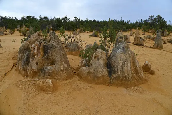 Nambung, Avustralya 2 Haziran 2025: Batı Avustralya 'nın Pinnacles Çölü