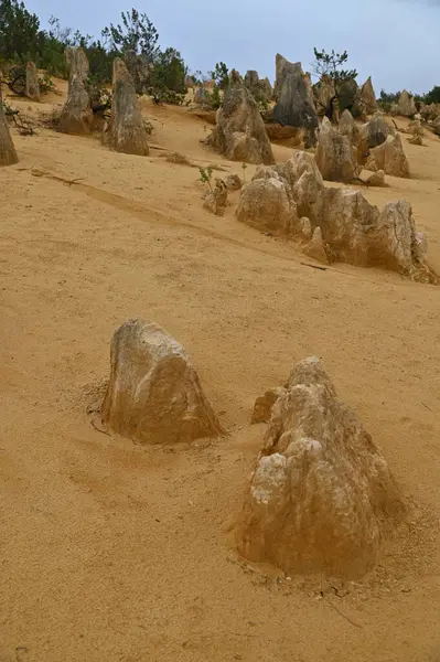 Nambung, Avustralya 2 Haziran 2025: Batı Avustralya 'nın Pinnacles Çölü