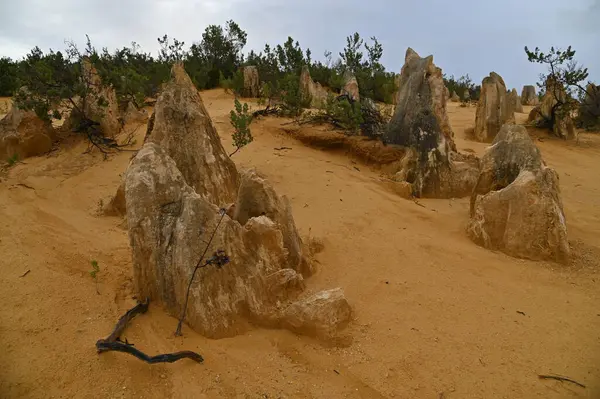 Nambung, Avustralya 2 Haziran 2025: Batı Avustralya 'nın Pinnacles Çölü