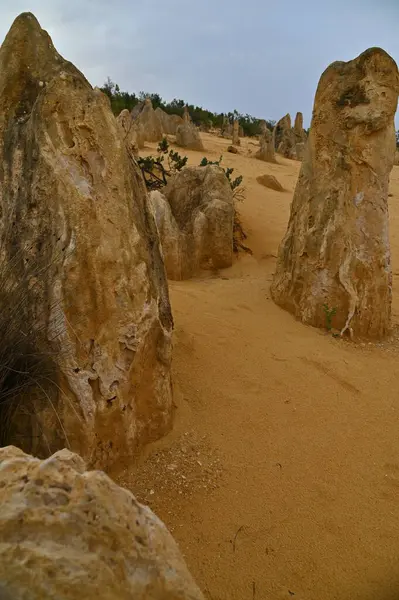 Nambung, Avustralya 2 Haziran 2025: Batı Avustralya 'nın Pinnacles Çölü