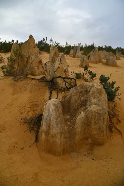 Nambung, Avustralya 2 Haziran 2025: Batı Avustralya 'nın Pinnacles Çölü