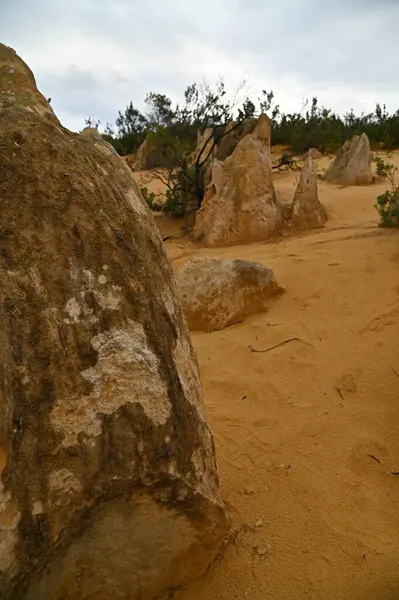 Nambung, Avustralya 2 Haziran 2025: Batı Avustralya 'nın Pinnacles Çölü