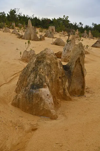 Nambung, Avustralya 2 Haziran 2025: Batı Avustralya 'nın Pinnacles Çölü