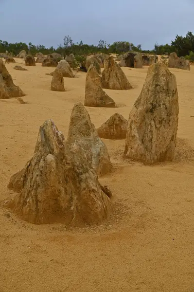 Nambung, Avustralya 2 Haziran 2025: Batı Avustralya 'nın Pinnacles Çölü