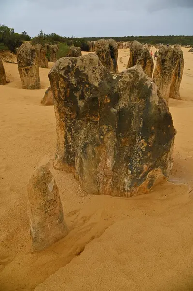 Nambung, Avustralya 2 Haziran 2025: Batı Avustralya 'nın Pinnacles Çölü