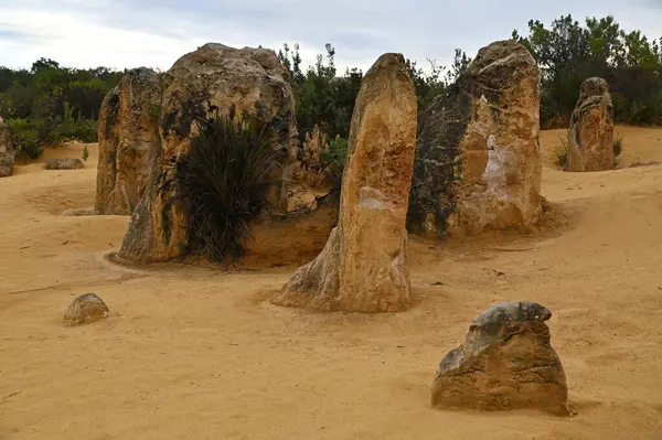 Nambung, Avustralya 2 Haziran 2025: Batı Avustralya 'nın Pinnacles Çölü