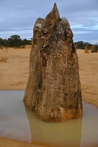 Nambung, Avustralya 2 Haziran 2025: Batı Avustralya 'nın Pinnacles Çölü