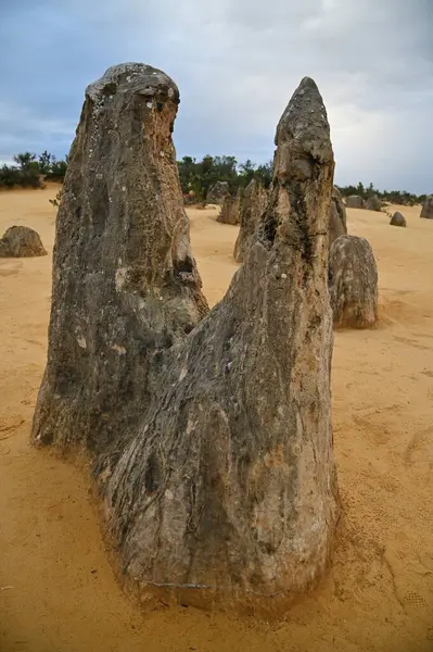 Nambung, Avustralya 2 Haziran 2025: Batı Avustralya 'nın Pinnacles Çölü