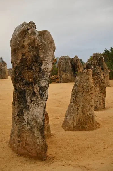 Nambung, Avustralya 2 Haziran 2025: Batı Avustralya 'nın Pinnacles Çölü
