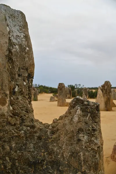Nambung, Avustralya 2 Haziran 2025: Batı Avustralya 'nın Pinnacles Çölü