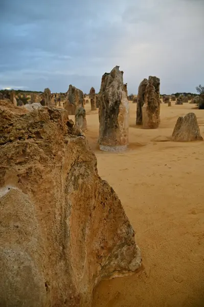 Nambung, Avustralya 2 Haziran 2025: Batı Avustralya 'nın Pinnacles Çölü