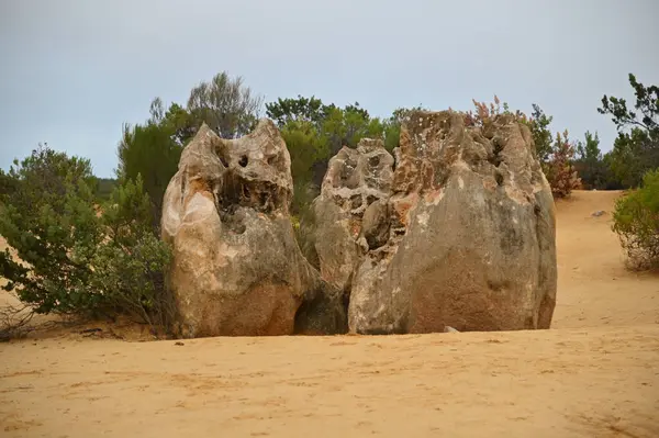 Nambung, Avustralya 2 Haziran 2025: Batı Avustralya 'nın Pinnacles Çölü