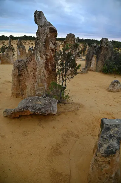 Nambung, Avustralya 2 Haziran 2025: Batı Avustralya 'nın Pinnacles Çölü