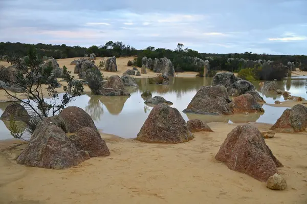 Nambung, Avustralya 2 Haziran 2025: Batı Avustralya 'nın Pinnacles Çölü
