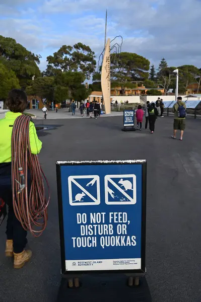 Rottnest Adası, Avustralya 2 Haziran 2025: Batı Avustralya 'nın Rottnest Adası