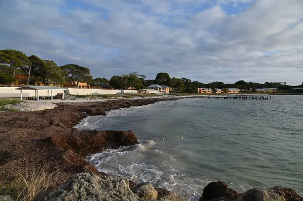 Rottnest Adası, Avustralya 2 Haziran 2025: Batı Avustralya 'nın Rottnest Adası