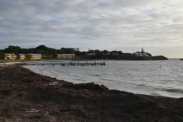 Rottnest Adası, Avustralya 2 Haziran 2025: Batı Avustralya 'nın Rottnest Adası