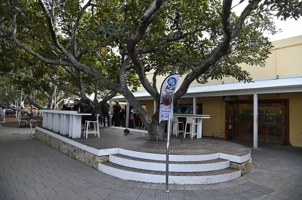 Rottnest Adası, Avustralya 2 Haziran 2025: Batı Avustralya 'nın Rottnest Adası