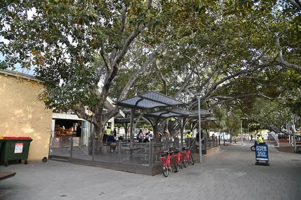 Rottnest Adası, Avustralya 2 Haziran 2025: Batı Avustralya 'nın Rottnest Adası