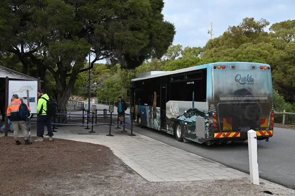 Rottnest Adası, Avustralya 2 Haziran 2025: Batı Avustralya 'nın Rottnest Adası