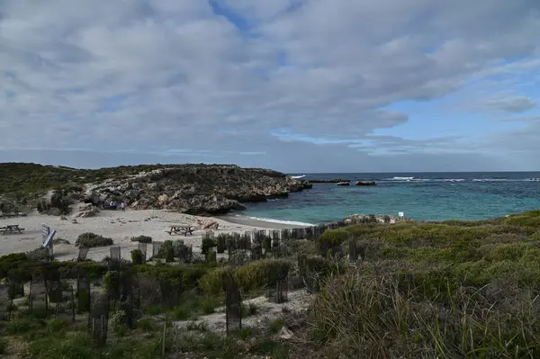 Rottnest Adası, Avustralya 2 Haziran 2025: Batı Avustralya 'nın Rottnest Adası