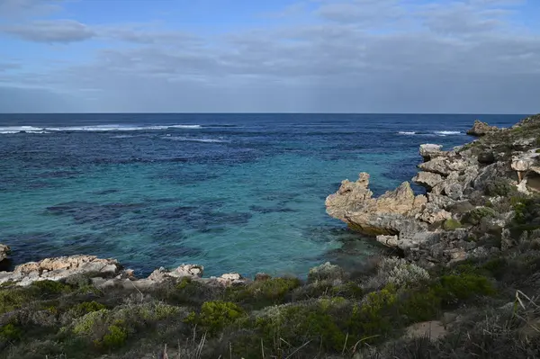 Rottnest Adası, Avustralya 2 Haziran 2025: Batı Avustralya 'nın Rottnest Adası