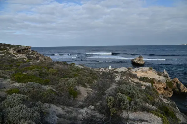 Rottnest Adası, Avustralya 2 Haziran 2025: Batı Avustralya 'nın Rottnest Adası