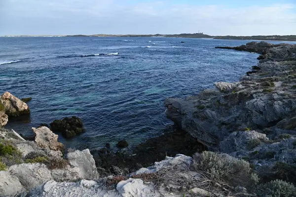 Rottnest Adası, Avustralya 2 Haziran 2025: Batı Avustralya 'nın Rottnest Adası