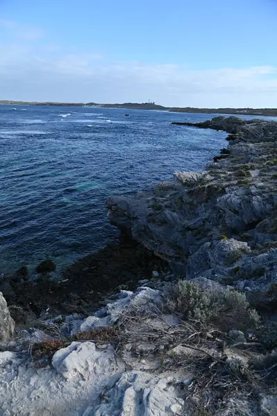 Rottnest Adası, Avustralya 2 Haziran 2025: Batı Avustralya 'nın Rottnest Adası