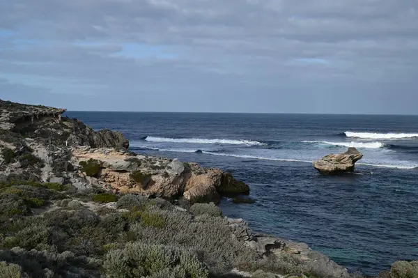Rottnest Adası, Avustralya 2 Haziran 2025: Batı Avustralya 'nın Rottnest Adası