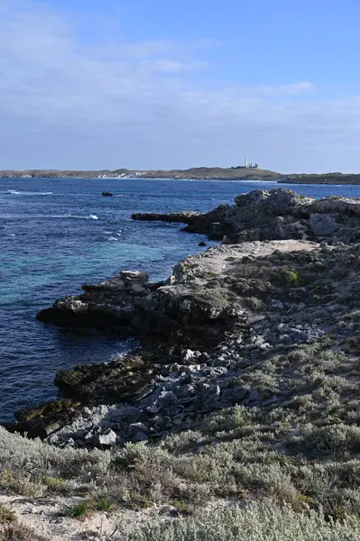 Rottnest Adası, Avustralya 2 Haziran 2025: Batı Avustralya 'nın Rottnest Adası