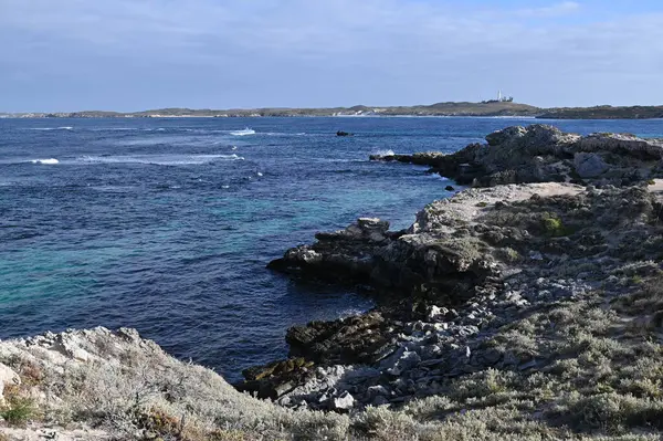 Rottnest Adası, Avustralya 2 Haziran 2025: Batı Avustralya 'nın Rottnest Adası