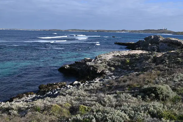Rottnest Adası, Avustralya 2 Haziran 2025: Batı Avustralya 'nın Rottnest Adası