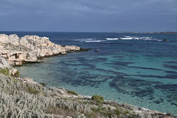Rottnest Adası, Avustralya 2 Haziran 2025: Batı Avustralya 'nın Rottnest Adası