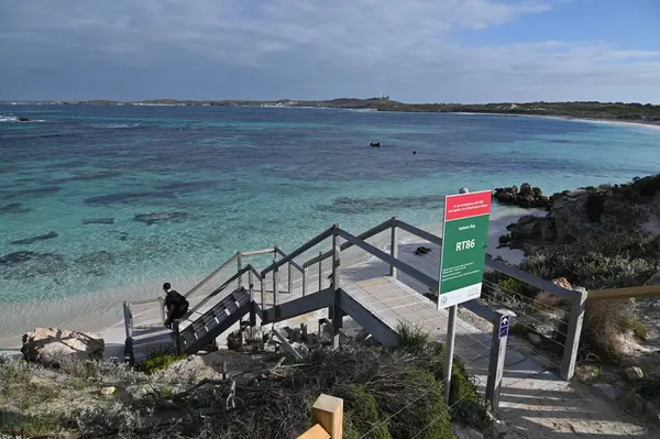 Rottnest Adası, Avustralya 2 Haziran 2025: Batı Avustralya 'nın Rottnest Adası