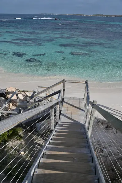 Rottnest Adası, Avustralya 2 Haziran 2025: Batı Avustralya 'nın Rottnest Adası