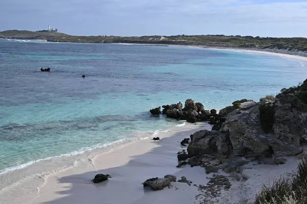 Rottnest Adası, Avustralya 2 Haziran 2025: Batı Avustralya 'nın Rottnest Adası