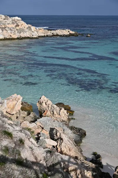 Rottnest Adası, Avustralya 2 Haziran 2025: Batı Avustralya 'nın Rottnest Adası