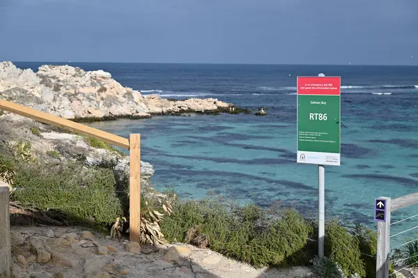 Rottnest Adası, Avustralya 2 Haziran 2025: Batı Avustralya 'nın Rottnest Adası