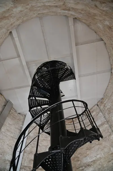 Rottnest Adası, Avustralya 2 Haziran 2025: Batı Avustralya 'nın Rottnest Adası