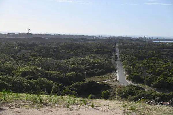 Rottnest Adası, Avustralya 2 Haziran 2025: Batı Avustralya 'nın Rottnest Adası